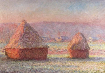 Weißer Frost. Sonnenaufgang
